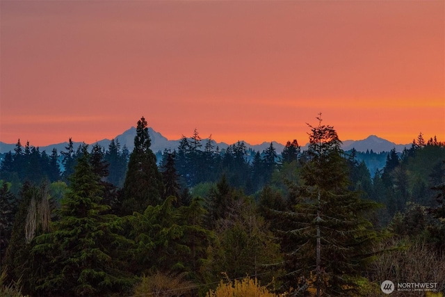 1032 89th Ave NE, Bellevue, WA 98004 - mountain view featuring a forest view