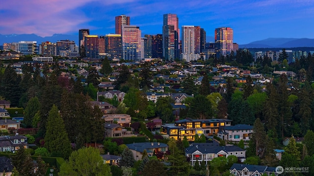 1032 89th Ave NE, Bellevue, WA 98004 - city view with a mountain view