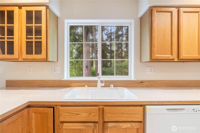 kitchen with light countertops, white dishwasher, a healthy amount of sunlight, and a sink