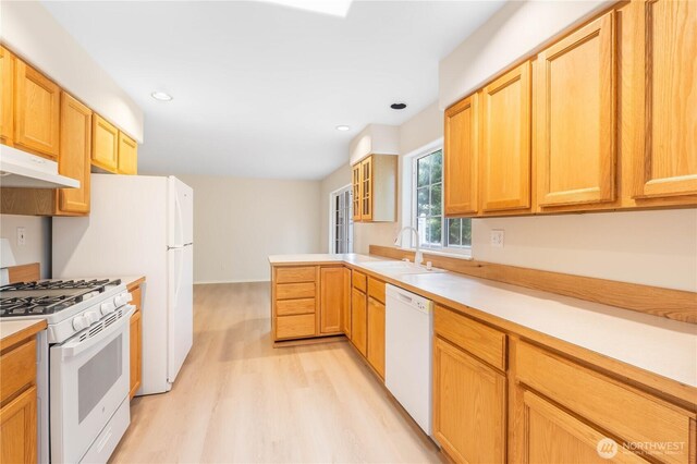 kitchen featuring white appliances, light wood-type flooring, light countertops, under cabinet range hood, and a sink