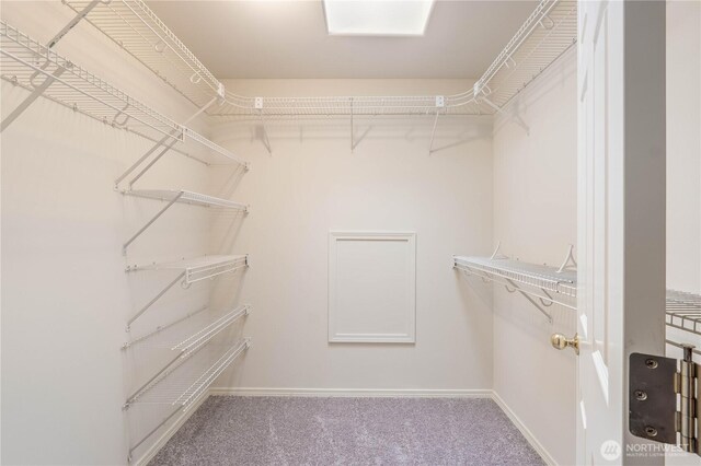 walk in closet featuring carpet floors