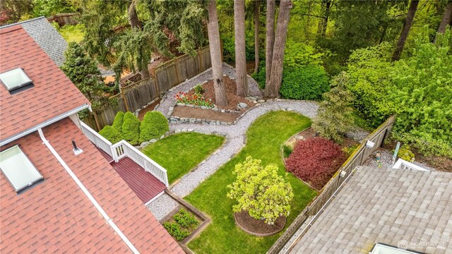 bird's eye view