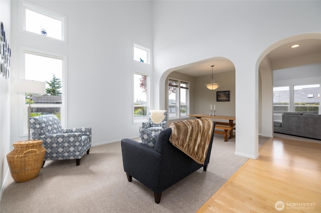 carpeted living room featuring arched walkways, baseboards, and a wealth of natural light