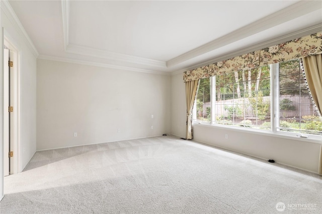 4799 171st Ave SE, Bellevue, WA 98006 - spare room with baseboards, light colored carpet, ornamental molding, and a raised ceiling
