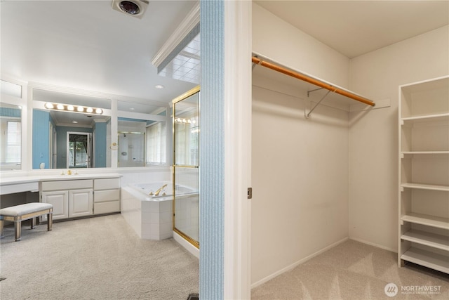 4799 171st Ave SE, Bellevue, WA 98006 - walk in closet featuring a sink and carpet floors