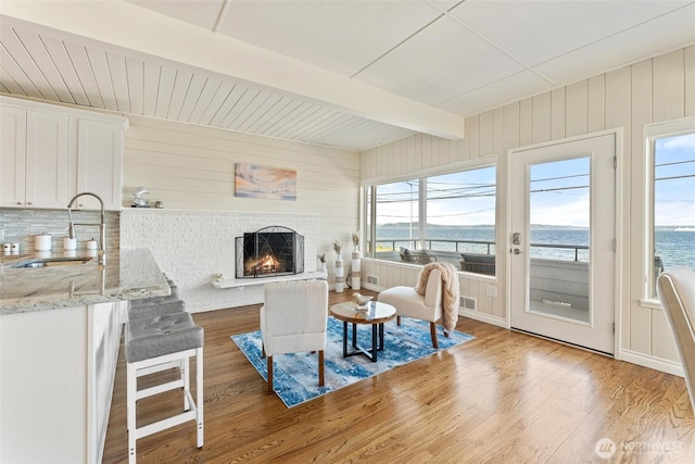 living area with plenty of natural light, a brick fireplace, light wood-style floors, and a water view