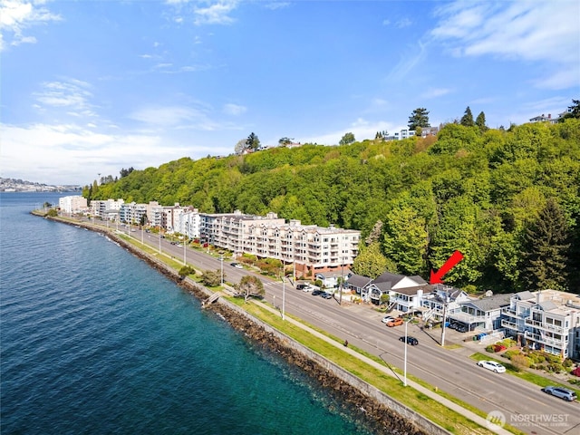 bird's eye view with a view of trees and a water view