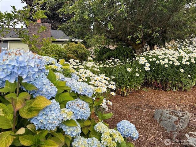 15722 62nd Pl NE, Kenmore, WA 98028 - view of yard