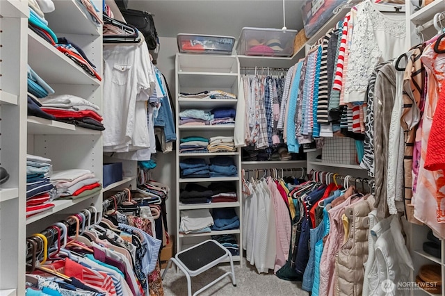 spacious closet featuring carpet floors