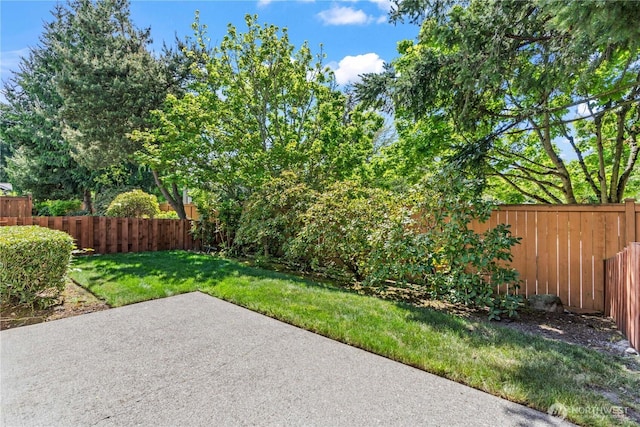 view of yard featuring a patio area and a fenced backyard