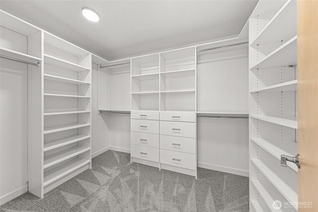 walk in closet with carpet flooring