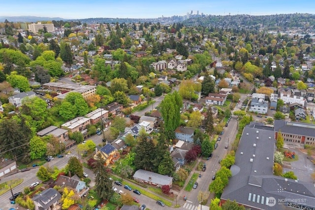 bird's eye view