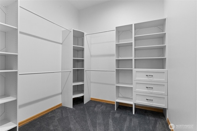23615 38th Ave E, Spanaway, WA 98387 - walk in closet with dark colored carpet