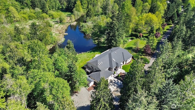 23615 38th Ave E, Spanaway, WA 98387 - aerial view of property and surrounding area featuring a large body of water and a heavily wooded area