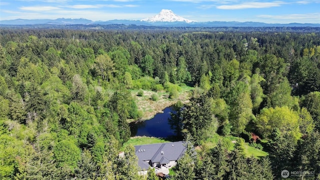 23615 38th Ave E, Spanaway, WA 98387 - bird's eye view of a forest and a water and mountain view
