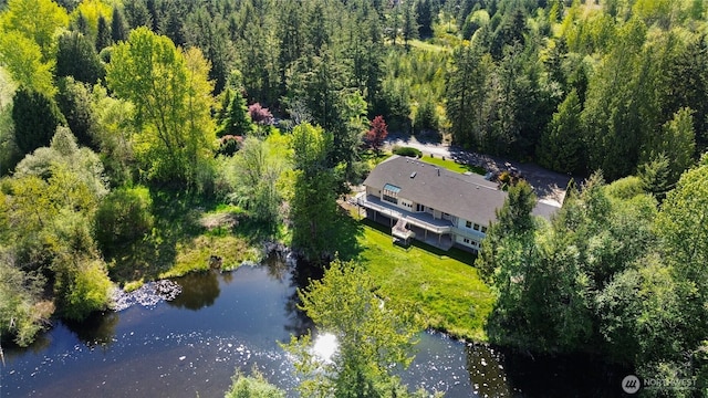 23615 38th Ave E, Spanaway, WA 98387 - view from above of property featuring a large body of water and a heavily wooded area