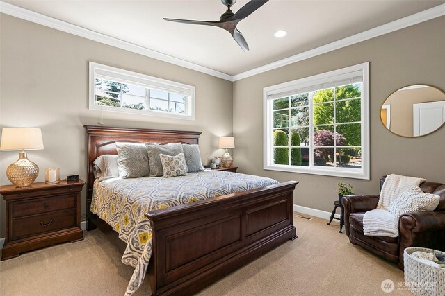 29012 218th Ave SE, Black Diamond, WA 98010 - photo 18