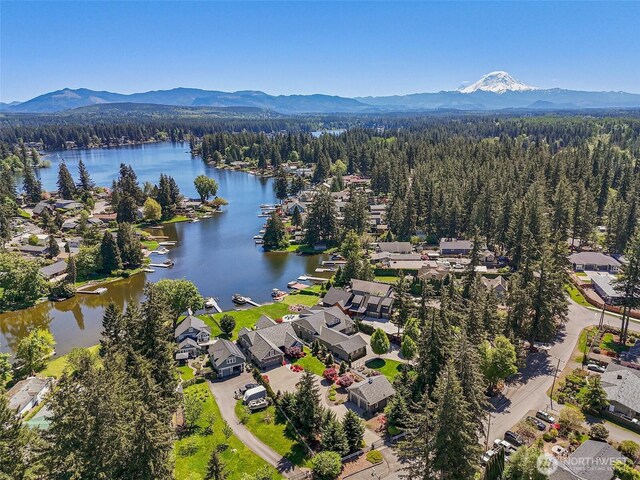 29012 218th Ave SE, Black Diamond, WA 98010 - photo 38