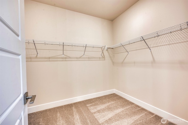 walk in closet with carpet