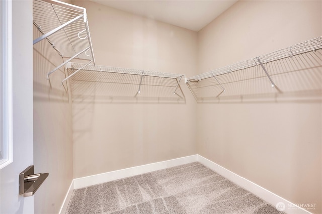 walk in closet with carpet