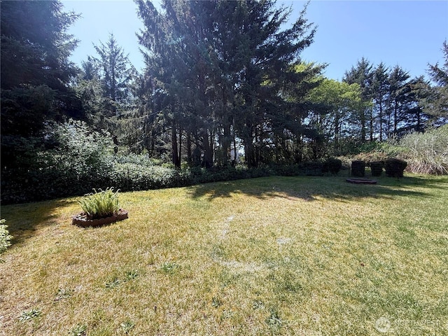 view of yard