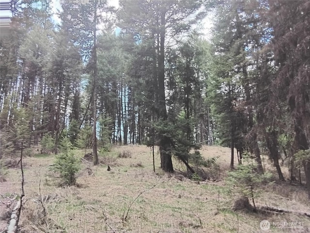 104 Pine Chee Rd, Oroville, WA 98844