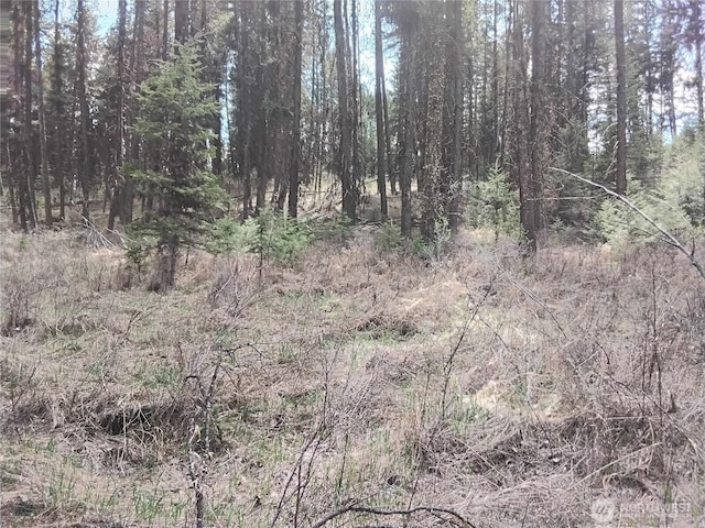 104 Pine Chee Rd, Oroville, WA 98844
