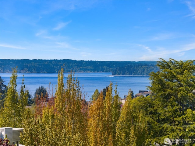 view of water feature featuring a forest view