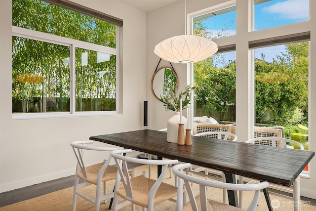 dining space featuring baseboards and wood finished floors