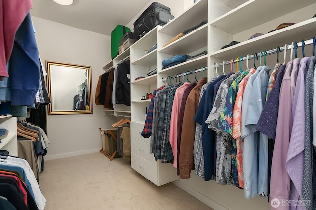 walk in closet featuring carpet floors