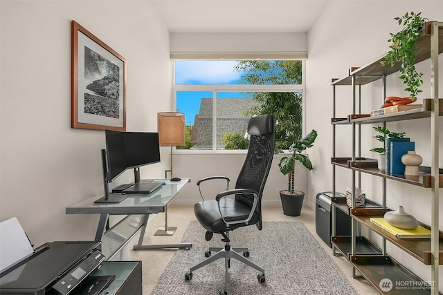 view of carpeted office
