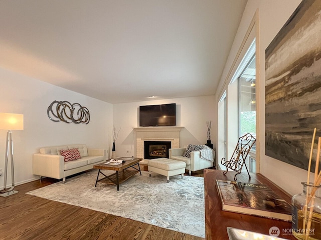 living area featuring a fireplace and wood finished floors