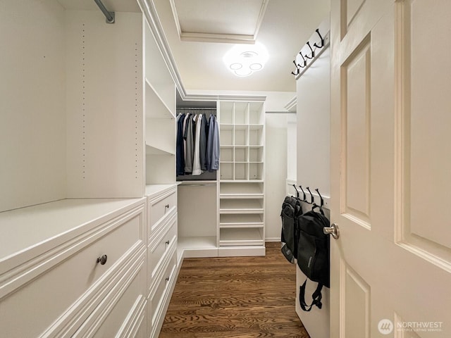 walk in closet featuring dark wood finished floors and attic access