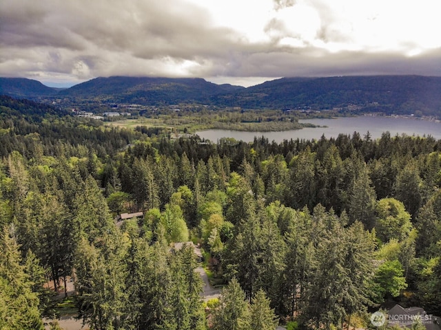 property view of mountains with a water view and a wooded view