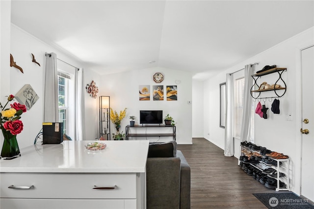 20323 Jordan Rd, Arlington, WA 98223 - living area featuring vaulted ceiling, dark wood finished floors, and baseboards