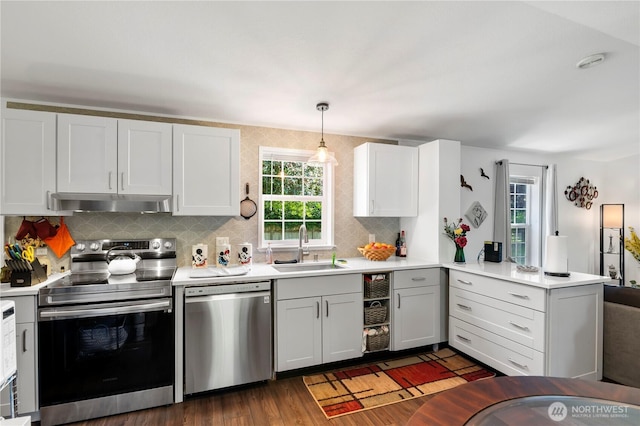 20323 Jordan Rd, Arlington, WA 98223 - kitchen featuring stainless steel appliances, a sink, a peninsula, and plenty of natural light