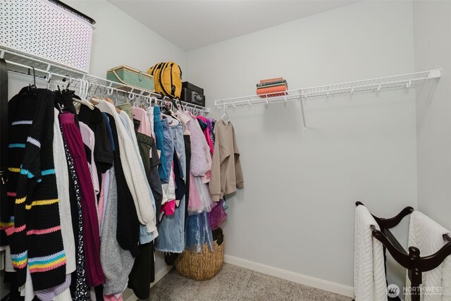 spacious closet with carpet