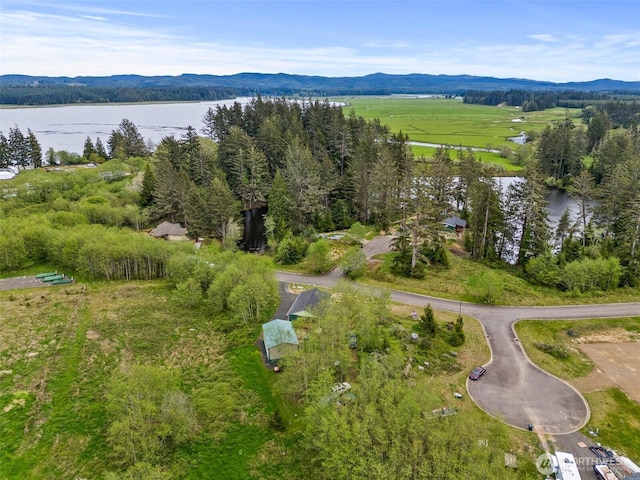 birds eye view of property featuring a water and mountain view