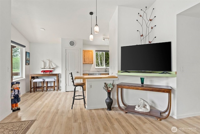 kitchen with a sink, pendant lighting, and light wood finished floors