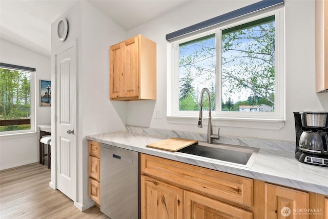 kitchen featuring a healthy amount of sunlight, light brown cabinetry, a sink, and dishwasher