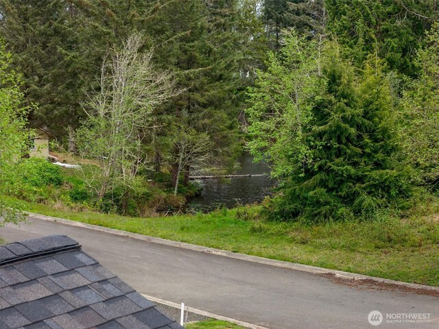 view of road featuring curbs and a forest view