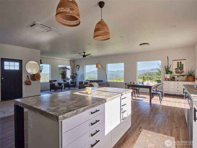 159 Bootjack Ln, Kelso, WA 98626 - kitchen featuring visible vents, white cabinets, wood finished floors, and a healthy amount of sunlight