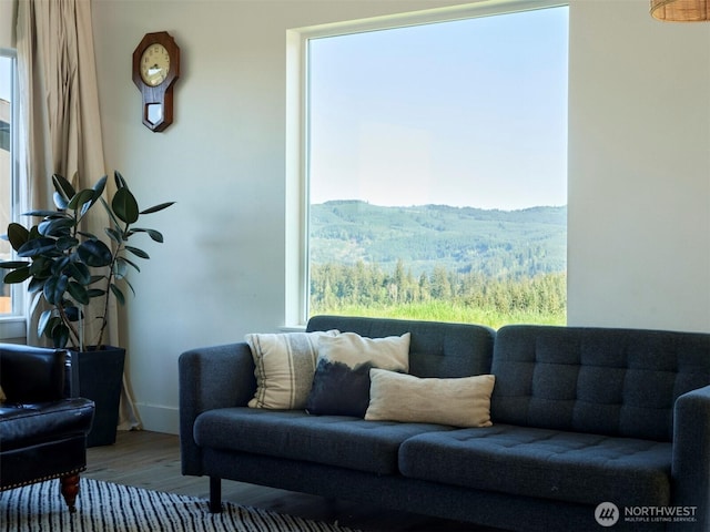 159 Bootjack Ln, Kelso, WA 98626 - living room with a mountain view and wood finished floors