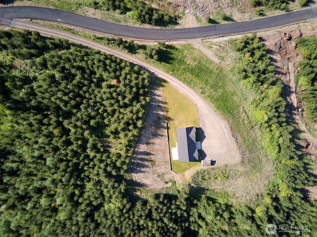 159 Bootjack Ln, Kelso, WA 98626 - drone / aerial view