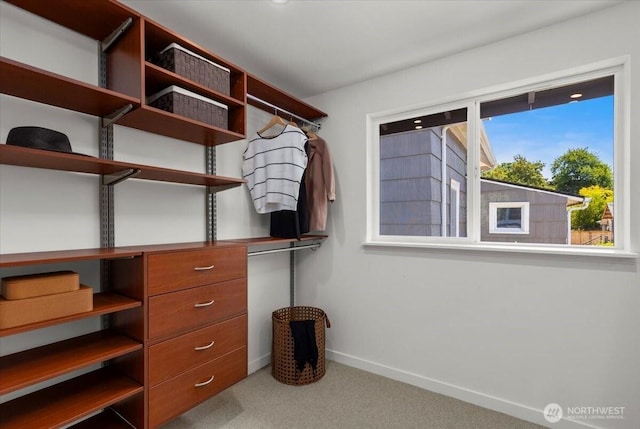 821 27th Ave, Seattle, WA 98122 - photo 17