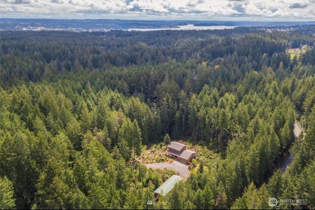 aerial view with a forest view