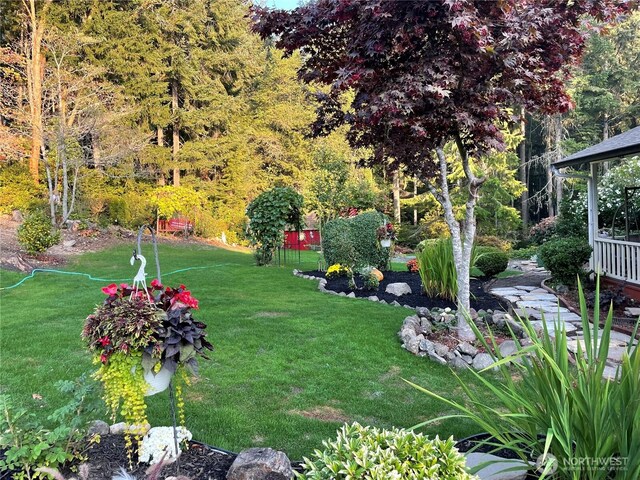 view of yard