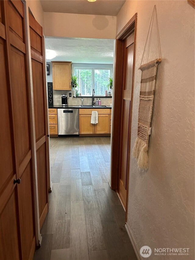 hall featuring a sink, a textured wall, and dark wood-style floors