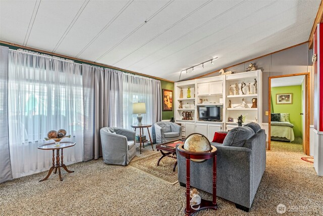 living room featuring carpet floors and vaulted ceiling