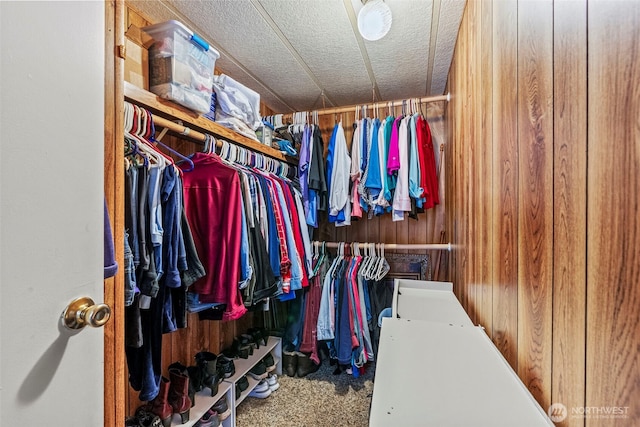 view of spacious closet